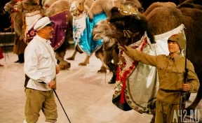 «Карнавал животных» в кемеровском цирке