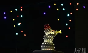 Физик объяснила, как выбрать безопасную новогоднюю гирлянду