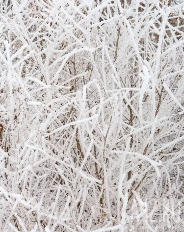 Парамон Зимоуказатель: народные приметы на 12 декабря