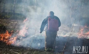 Синоптики Кузбасса предупредили о пожароопасности третьего класса