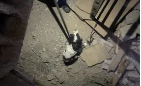 В Новокузнецке спасатели вытащили застрявшую в заброшенном доме собаку