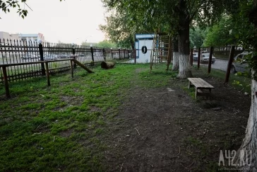 Фото: Собачья радость: тест площадок для выгула животных в Кемерове  32