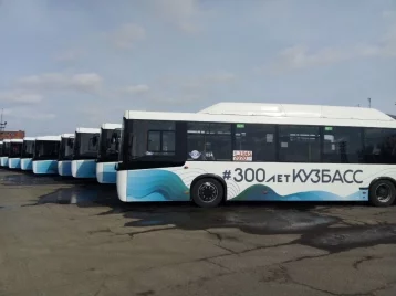 Фото: В Кемерове вышли на маршруты 15 новых автобусов по 8 млн рублей 1