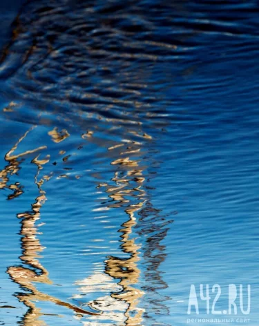 Фото: A42.RU