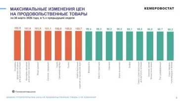 Инфографика: Кемеровостат
