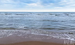 Пляжи Анапы планируют открыть к 1 июня