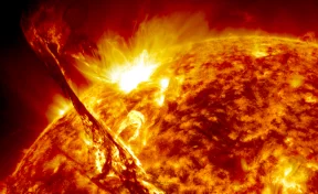 Учёные выяснили, что вспышки на Солнце вызывают аномалии в клетках человека