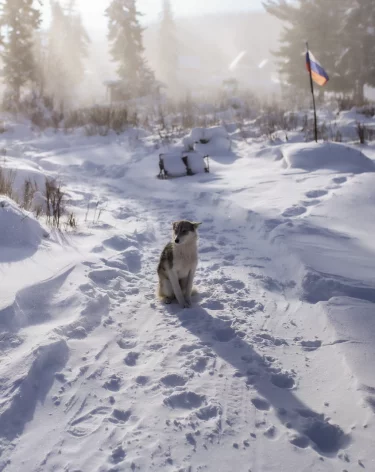 Золх, Антибес и Нижняя Суета: в Росреестре перечислили самые необычные названия сел и деревень Кузбасса