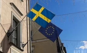 Посольство Швеции в Ираке приостанавило работу до дальнейшего уведомления