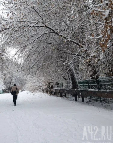 Синоптики: Кузбасс на выходных ждут перепады температуры от 0 до -26