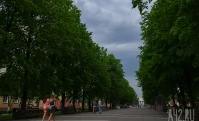  В МЧС предупредили жителей Кузбасса о шквалистом ветре, грозах и граде