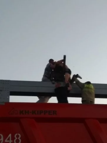 Фото: В Новокузнецке спасатели сняли мужчину с края моста 3