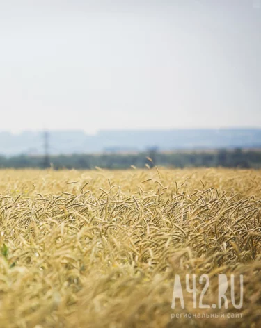 Фото: А42.RU