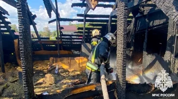 Фото: В Кемерове пожарные спасли трёх детей из горящего дома 4
