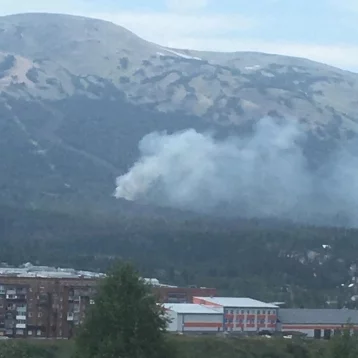 Фото: Глава Таштагольского района рассказал о пожаре на горе Зелёной 1