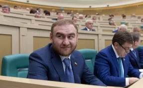 Сенатор Рауф Арашуков не предоставил декларацию о доходах