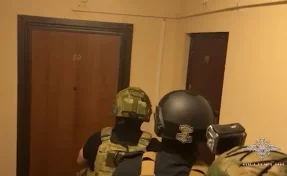 МВД задержало мошенников, похитивших с помощью вируса у россиян более 200 млн рублей