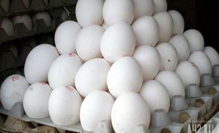 В Минсельхозе заявили, что рост оптовых цен на яйца не повлияет на розницу