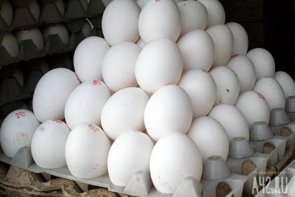 В Минсельхозе заявили, что рост оптовых цен на яйца не повлияет на розницу