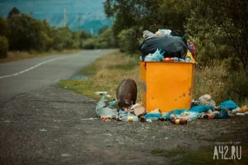 Фото: Суд оштрафовал власти кузбасского города из-за мусорного контейнера 1
