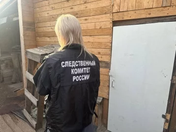 Фото: В Красноярском крае мать задержали по подозрению в убийстве 3 детей 1