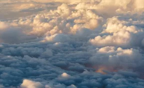 В Воронежской области сбили более пяти БПЛА