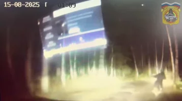 Фото: В Кургане 16-летний мотоциклист во время погони протащил за собой полицейского 1