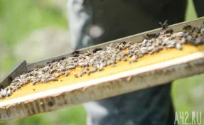 Яков день: приметы на 5 ноября