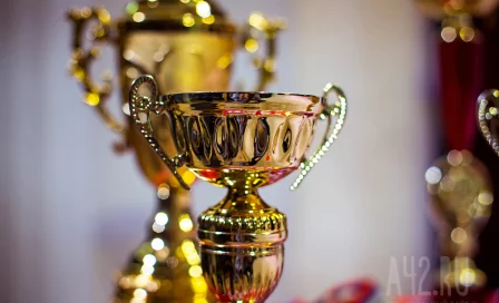 В Чечне на юниорском первенстве СКФО по вольной борьбе произошла массовая драка