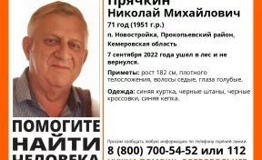 В Кузбассе ищут пенсионера, который пропал в лесу