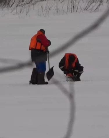 Фото, видео: <a href=https://t.me/a_sharnin/5356>Андрей Шарнин</a> / Телеграм