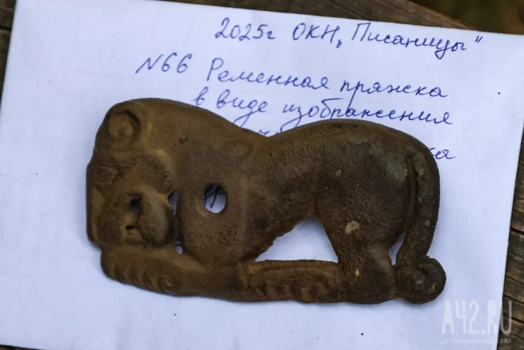 Фото: Как жили люди на территории Кузбасса 1 000 лет назад: учёные показали редкие находки 13