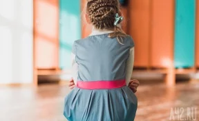 Охранник детского сада в Подмосковье домогался четырёхлетней девочки