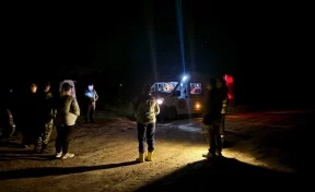 В юргинском лесу пропали две женщины: с их поиском возникли трудности
