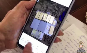 Российская пенсионерка отдала мошенникам 74 млн рублей золотом и наличными