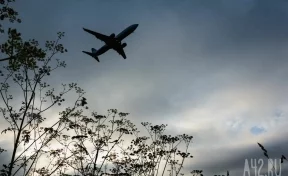В аэропорту Волгограда скончался пассажир, из-за которого самолёт совершил вынужденную посадку