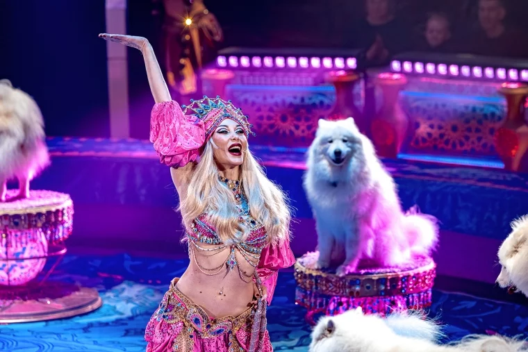 Фото: Только по 18 января в Кемеровском цирке гастроли нового шоу Гии Эрадзе «Песчаная сказка» 3