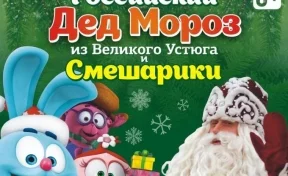 Кемеровчане увидят представление «Дед Мороз из Великого Устюга и его друзья Смешарики»