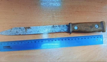 Фото: Кузбассовец грозил жене ножом и убил собаку: дело ушло в суд 1