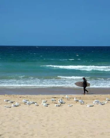 Число погибших в результате теракта на пляже в Сиднее возросло до 12