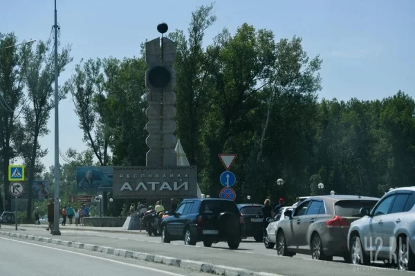 В Республике Алтай после нападения на туристку уничтожили 55 медведей