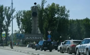 В Республике Алтай после нападения на туристку уничтожили 55 медведей