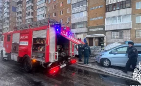 МЧС: на пожаре в Кемерове спасли 14 человек