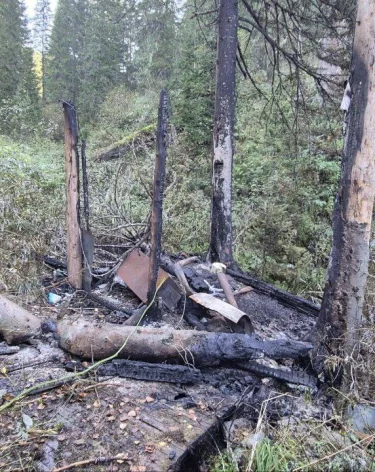 В Междуреченске возбудили дело по факту незаконной рубки леса в государственном природном заказнике «Бельсинский»