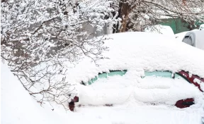 В Новокузнецке усилили борьбу с «подснежниками»: автовладельцам дали 14 дней