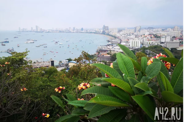 Дети остались одни: в Таиланде умерла россиянка, проживающая на Пхукете с сыном и дочерью