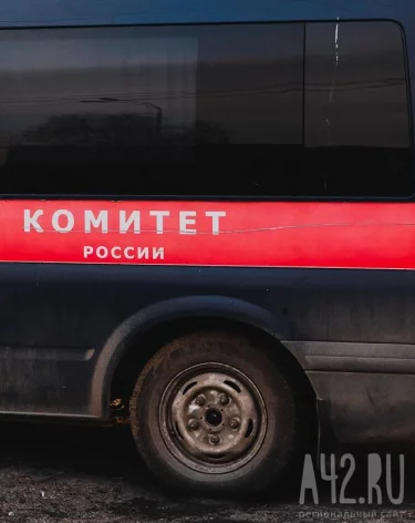 СК проверяет информацию о пьющей матери из Кузбасса