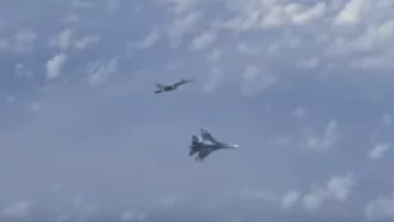 Фото: Поляки высмеяли «героическое» бегство F-18 от сопровождавшего самолёт Шойгу Су-27 1