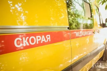 Фото: Один человек погиб: стали известны подробности ДТП с грузовиком на трассе Кемерово — Новосибирск  1