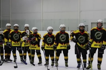 Фото: В Кемерове определили победителей турнира по хоккею с шайбой 1